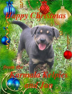 Happy Christmas 2020